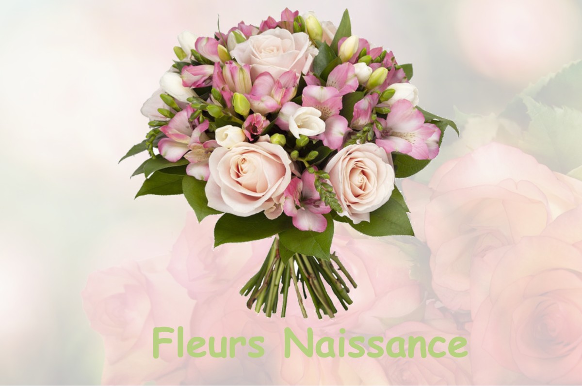 fleurs naissance RUFFEY-SUR-SEILLE