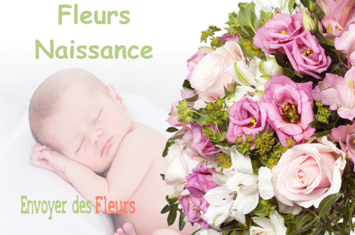 lIVRAISON FLEURS NAISSANCE à RUFFEY-SUR-SEILLE